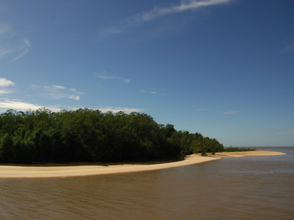 Marajó 010